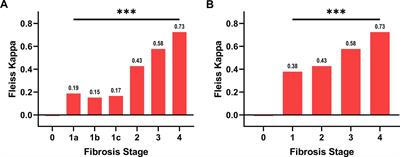 Role of artificial intelligence in staging and assessing of treatment response in MASH patients